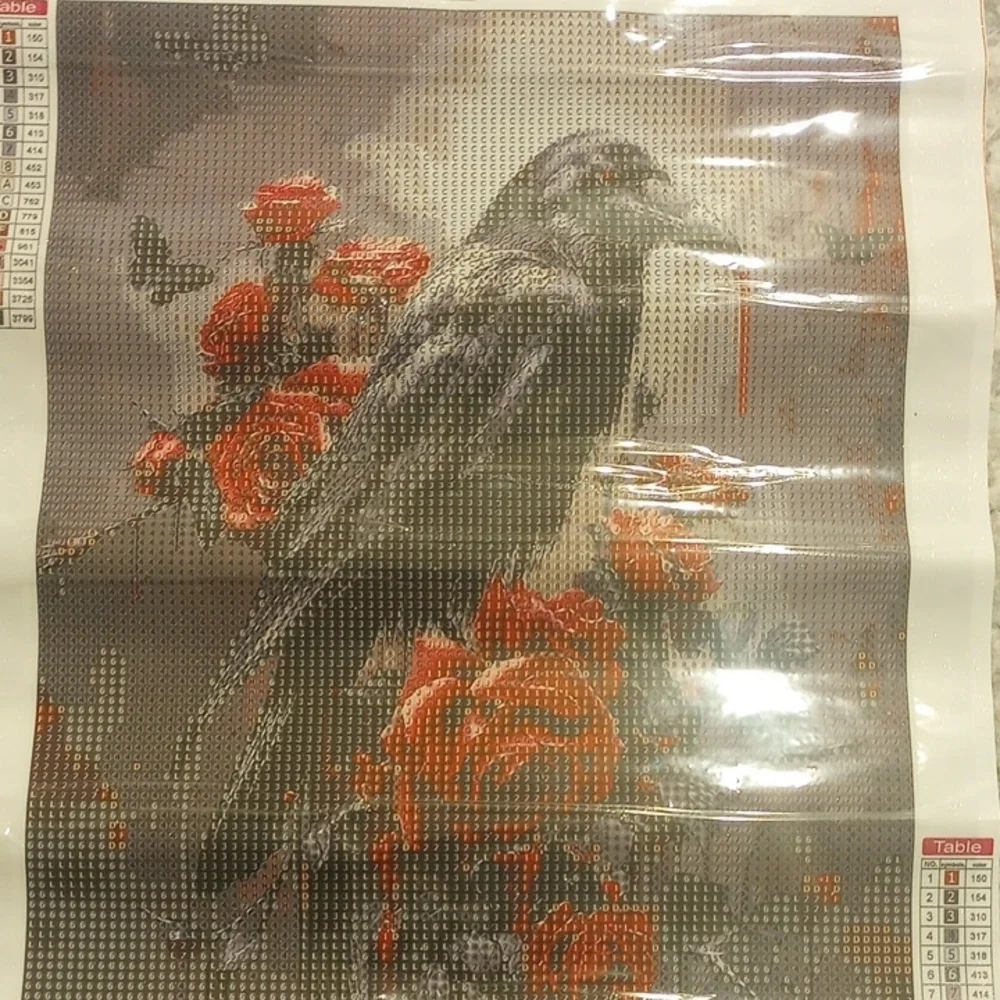 Vibrant Bird Diamond Painting Kit - Red and Black